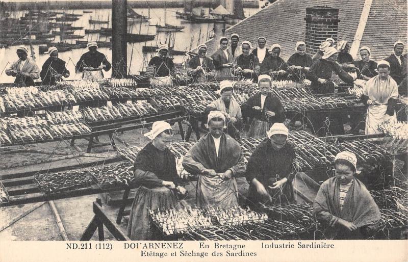 Carte postale ancienne Douarnenez - Industrie Sardiniere - Eretage Et Sechage Des Sardines à Douarnenez