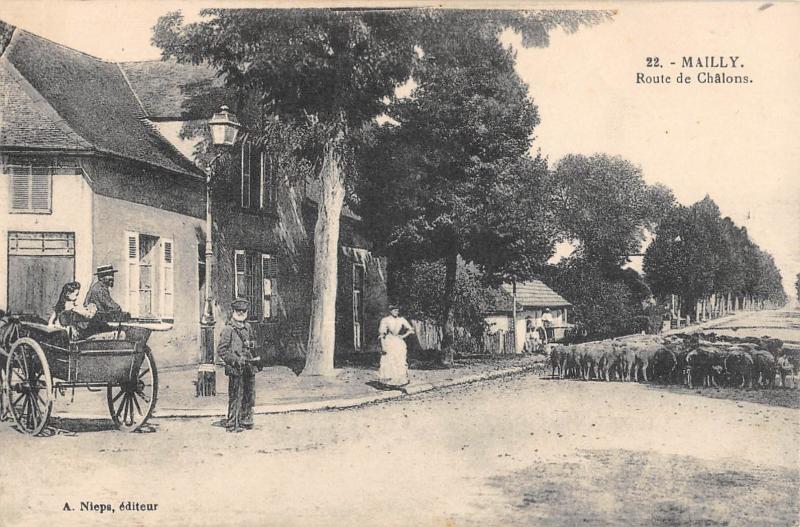 Carte postale ancienne Mailly - Route De Chalons - Berger - Troupeau