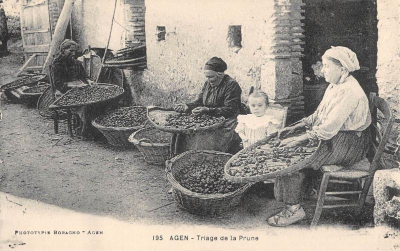 Carte postale ancienne Agen - Triage De La Prune à Agen