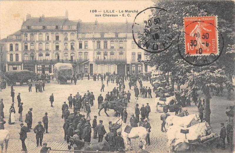 Carte postale ancienne Lille - Le Marche Aux Chevaux à Lille