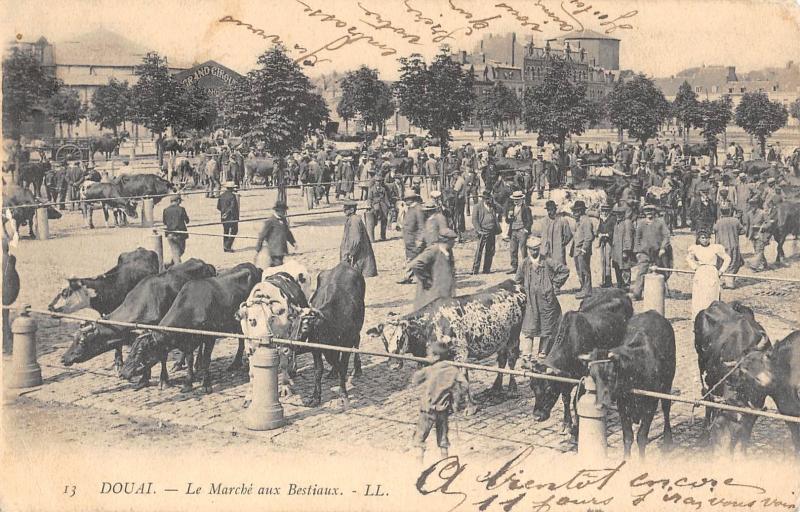Carte postale ancienne Douai - Le Marche Aux Bestiaux à Douai