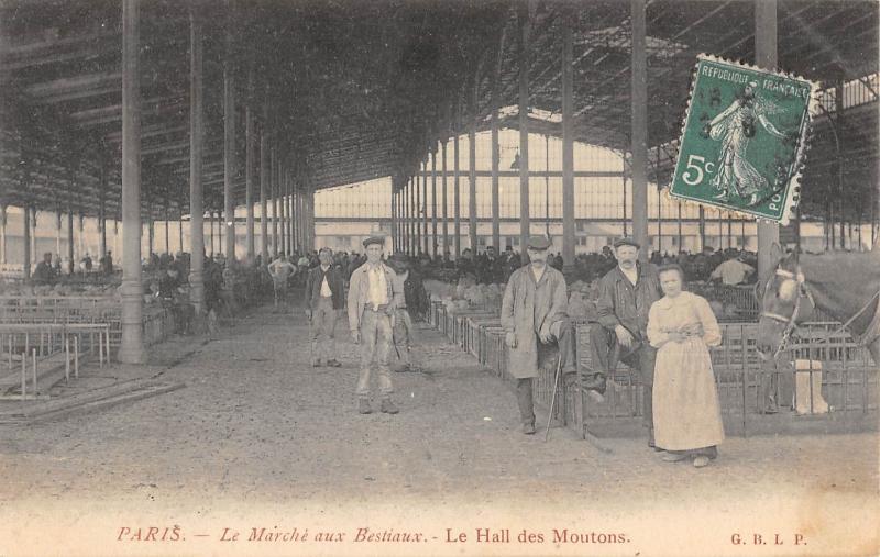 Carte postale ancienne Paris - Le Marche Aux Bestiaux - Le Hall Des Moutons à Paris