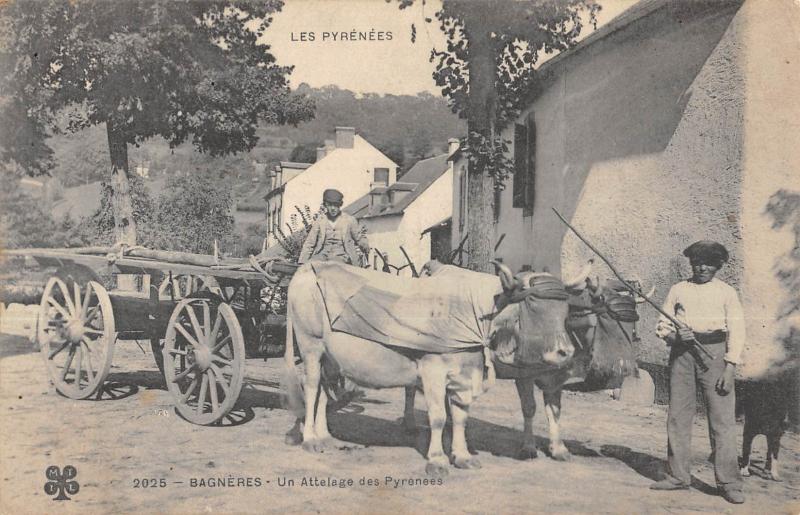 Carte postale ancienne Bagneres De Bigorre - Un Attelage Des Pyrenees à Bagnères-de-Bigorre