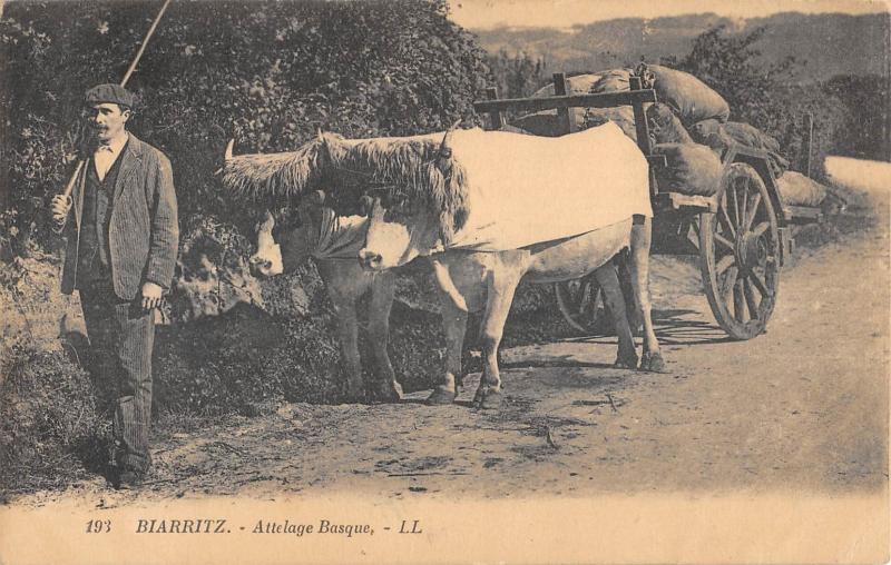 Carte postale ancienne Biarritz - Attelage Basque à Biarritz