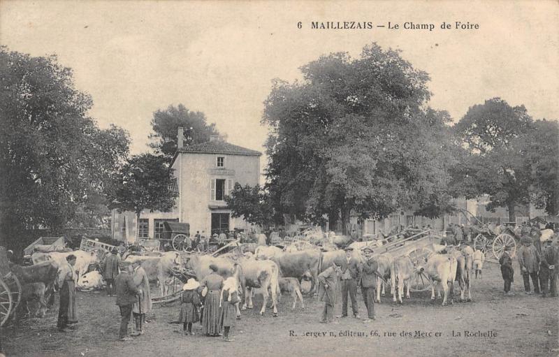 Carte postale ancienne Maillezais - Le Champ De Foire à Maillezais