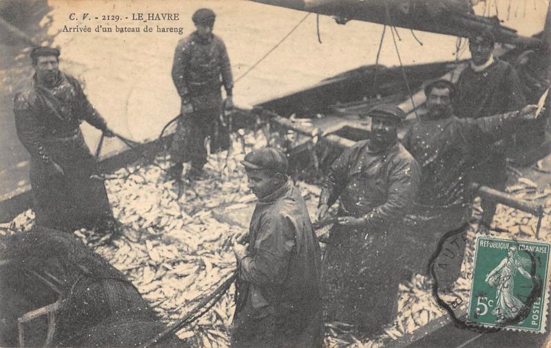 Carte postale ancienne Le Havre - Arrivee D'Un Bateau De Hareng au Havre