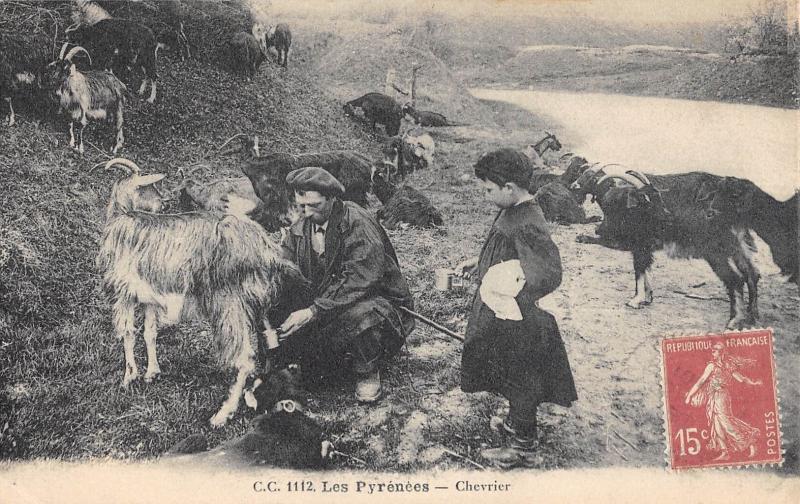 Carte postale ancienne Les Pyrenees - Chevrier