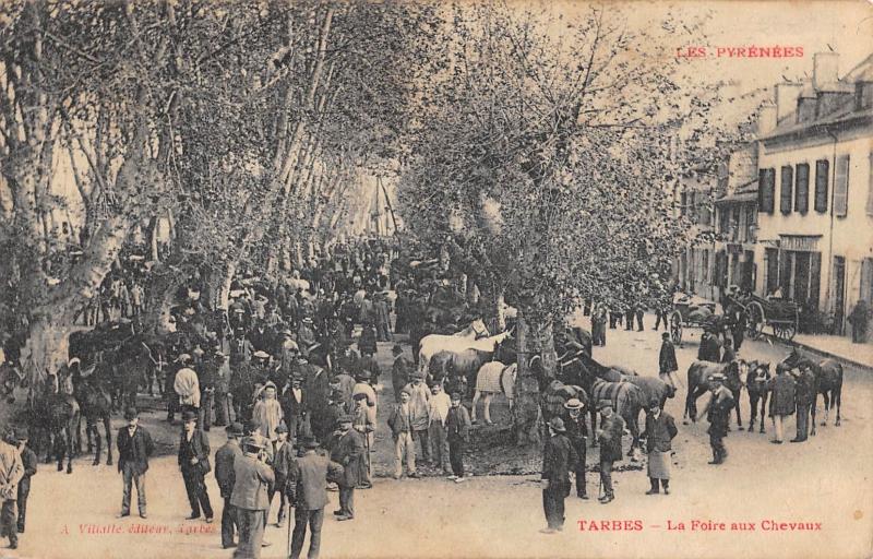 Carte postale ancienne Tarbes - La Foire Aux Chevaux à Tarbes