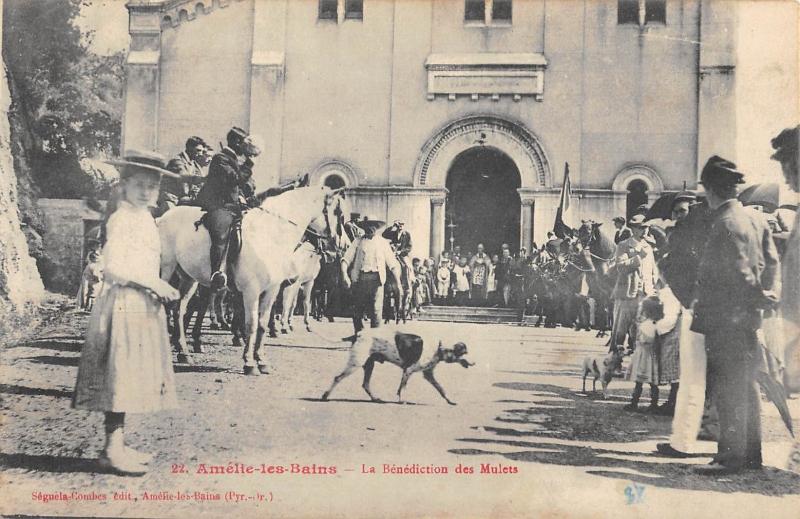 Carte postale ancienne Amelie Les Bains - La Benediction Des Mulets