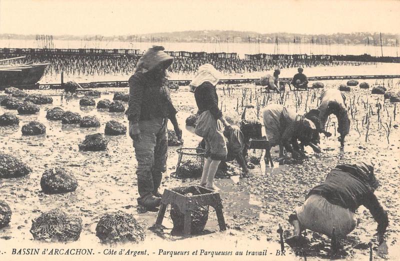 Carte postale ancienne Bassin D'Arcachon - Parqueurs Et Parqueuses Au Travail à Arcachon