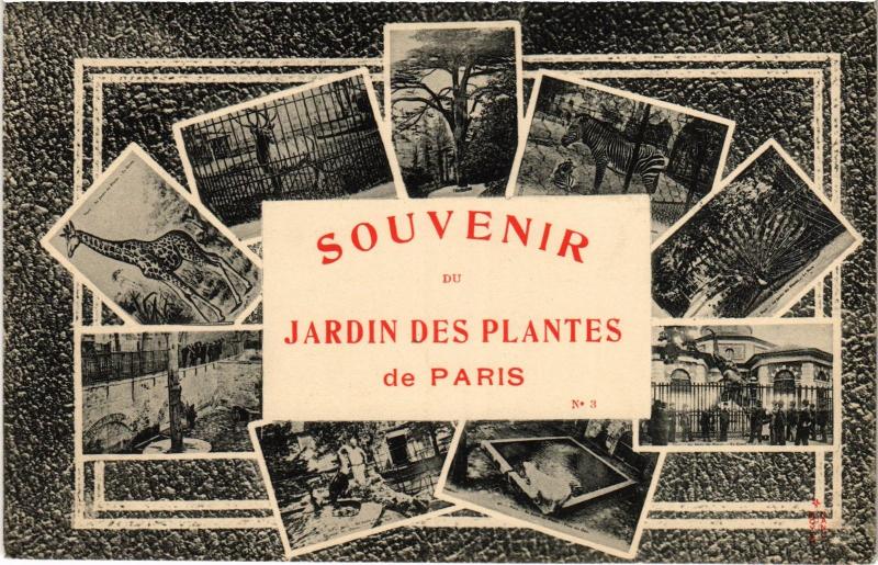 Carte postale ancienne Paris 5e Jardin des Plantes à Paris 5e