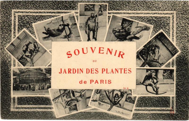 Carte postale ancienne Paris 5e Jardin des Plantes à Paris 5e