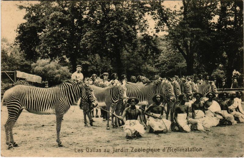Carte postale ancienne Les Gallas au Jardin Zoologique d'Acclimatation à Neuilly-sur-Seine