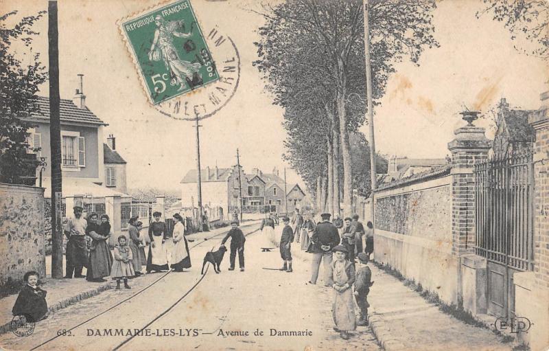 Carte postale ancienne Dammarie Les Lys - Avenue De Dammarie à Dammarie-les-Lys