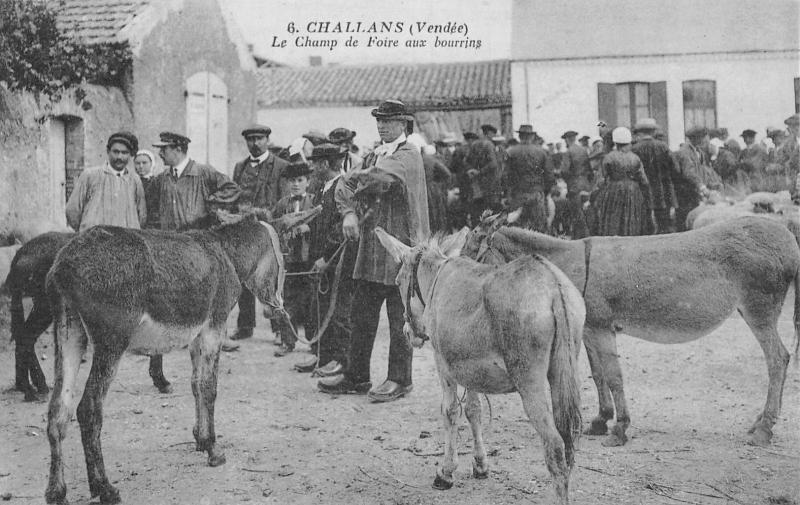 Carte postale ancienne Challans - Le Champ De Foire Aux Bourrins à Challans