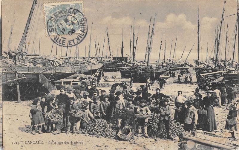 Carte postale ancienne Cancale - Le Triage Des Huitres à Cancale
