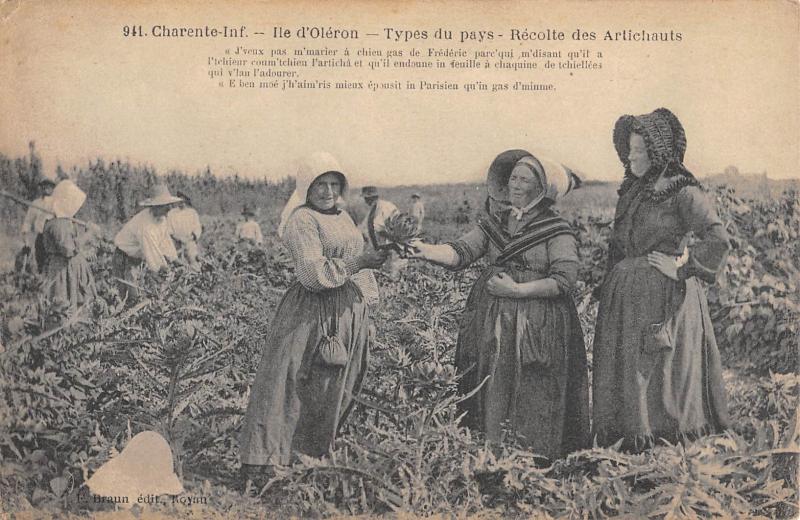 Carte postale ancienne Ile D'Oleron - Types Du Pays - Recolte Des Artichauts