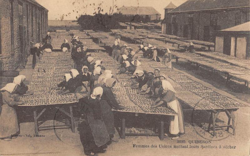 Carte postale ancienne 57 Quiberon - Femmes Des Usines Mettant Leur Sardines A Secher à Quiberon