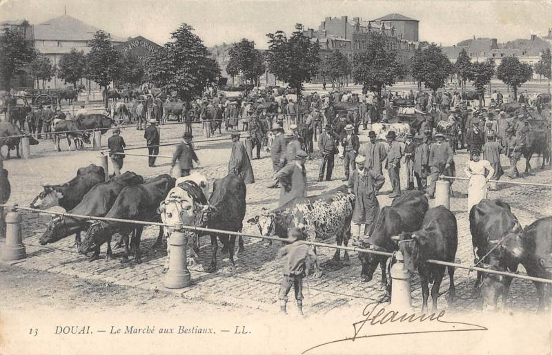 Carte postale ancienne Douai - Le Marche Aux Bestiaux à Douai