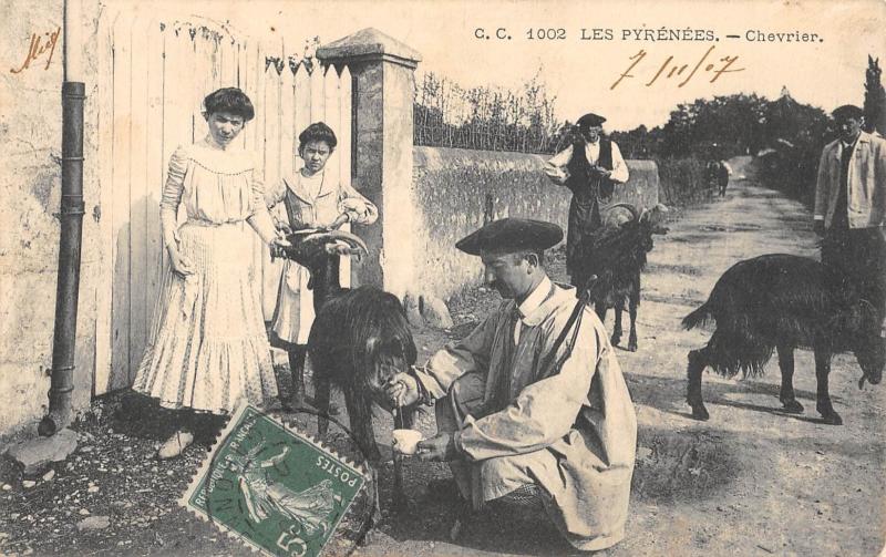 Carte postale ancienne Les Pyrenees - Chevrier