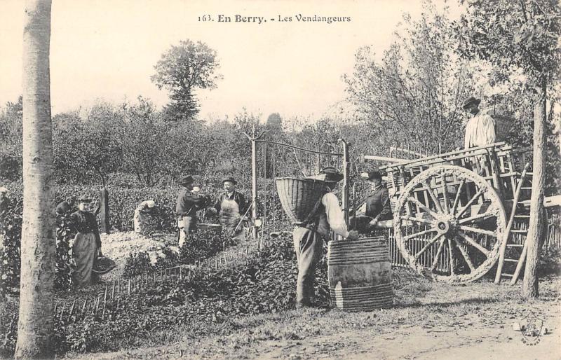 Carte postale ancienne En Berry - Les Vendangeurs