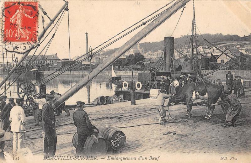 Carte postale ancienne Deauville Sur Mer - Embarquement D'Un Boeuf à Deauville