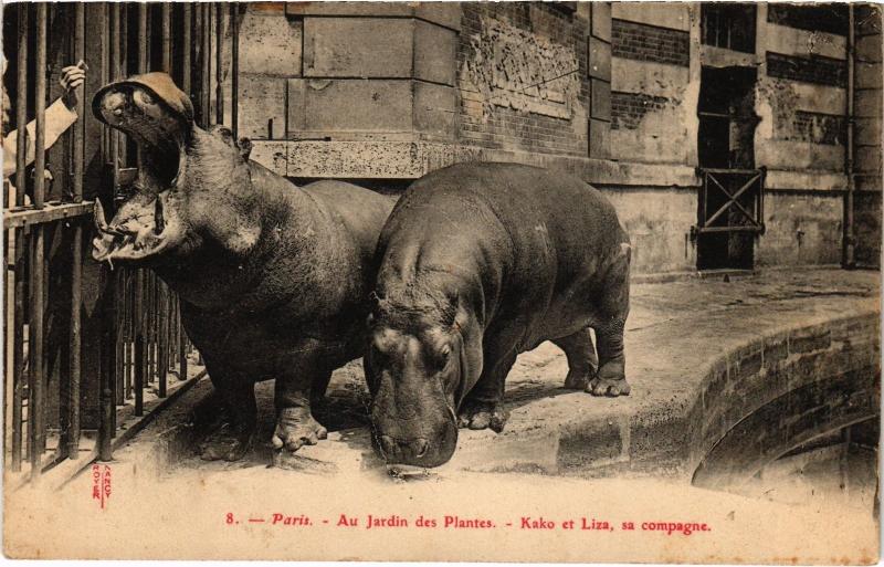 Carte postale ancienne Paris 5e Jardin des Plantes Kako et Liza à Paris 5e