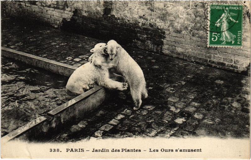 Carte postale ancienne Paris 5e Jardin de Plants Les ours à Paris 5e