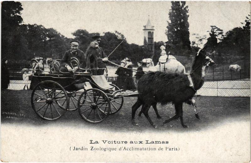 Carte postale ancienne La Voiture aux Lamas - Jardin Zoologique d'Acclimatation de Paris à Neuilly-sur-Seine