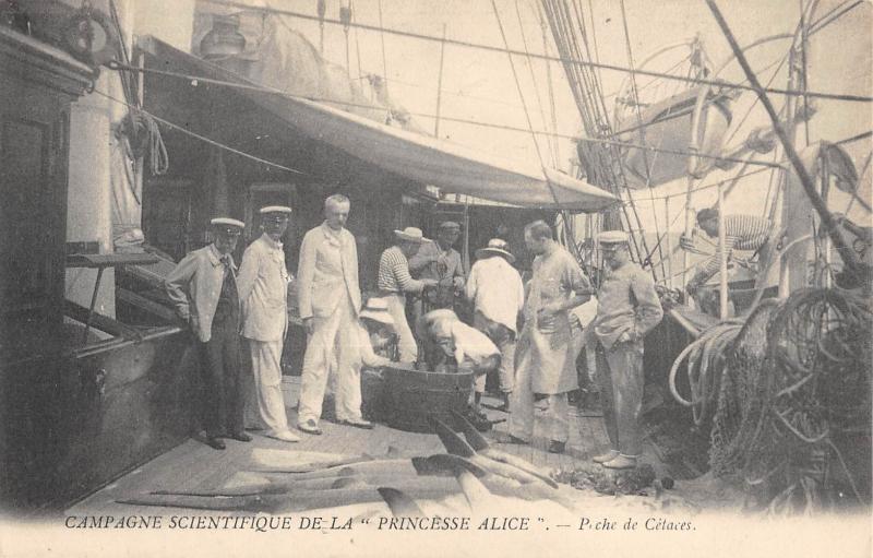 Carte postale ancienne Campagne Scientifique De La Princesse Alice - Peche De Cetaces