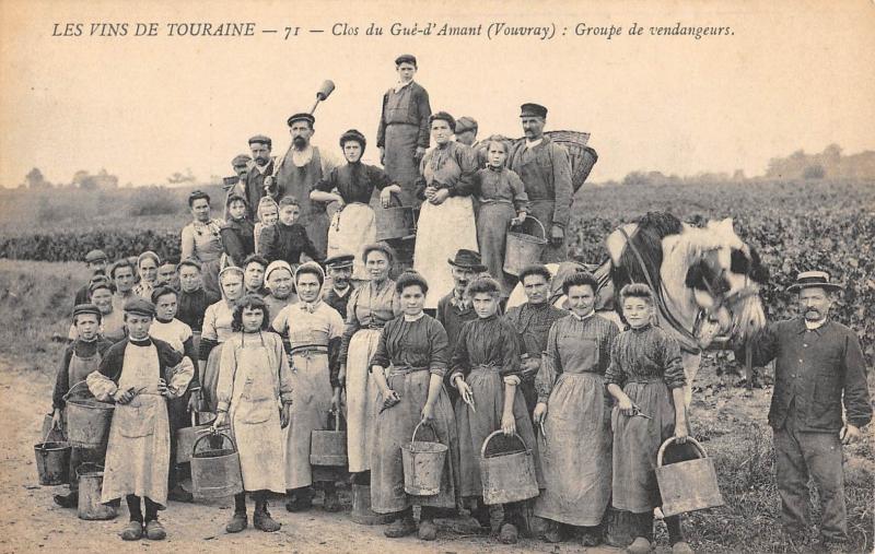 Carte postale ancienne Les Vins De Touraine - Clos Du Gue D'Amant - Vouvray - Groupe De Vendange à Vouvray