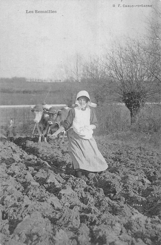 Carte postale ancienne Les Semailles