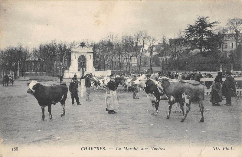 Carte postale ancienne Chartres - Le Marche Aux Vaches à Chartres