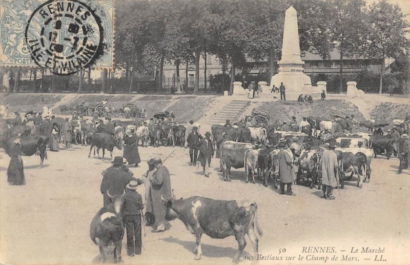 Carte postale ancienne Rennes - Le Marche Aux Bestiaux Sur Le Champ De Mars à Rennes