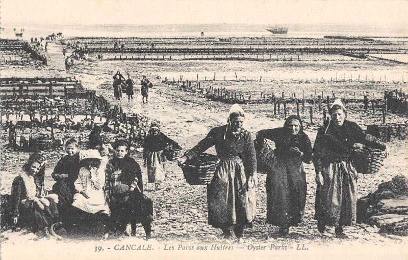 Carte postale ancienne Cancale - Le Parc Aux Huitres à Cancale