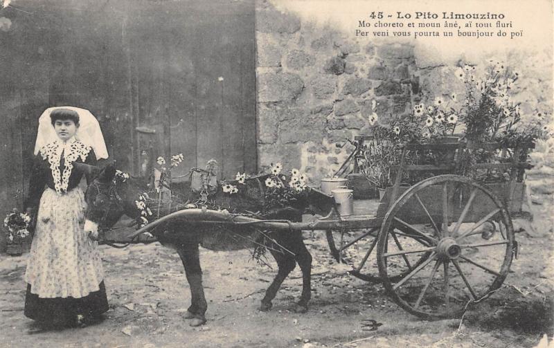 Carte postale ancienne Lo Pito Limouzino