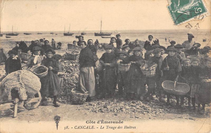 Carte postale ancienne Cancale - Le Triage Des Huitres à Cancale