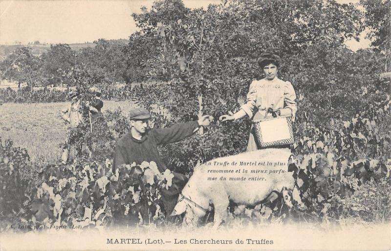 Carte postale ancienne Martel - Les Chercheurs De Truffes à Martel