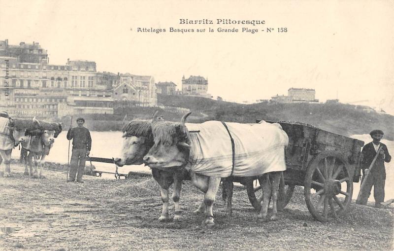 Carte postale ancienne Biarritz - Attelages Baques Sur La Grande Plage à Biarritz