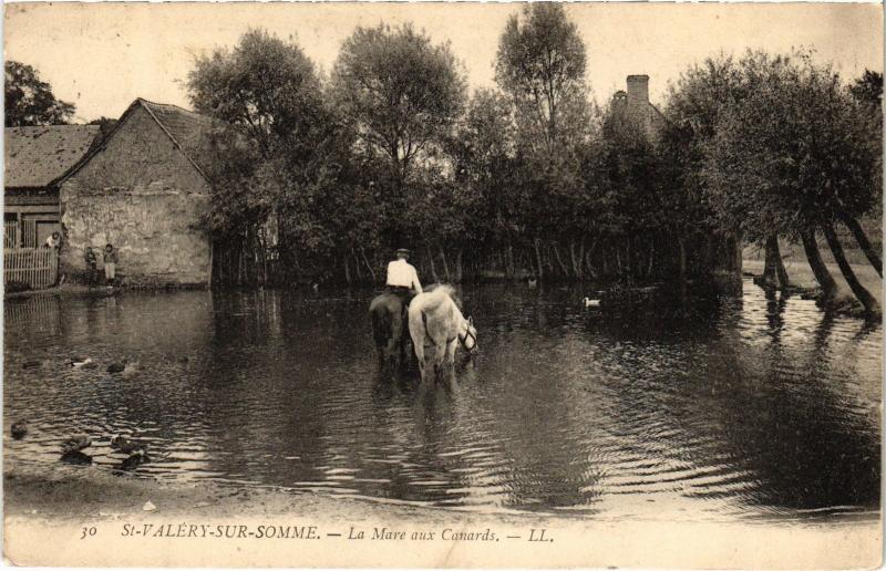 Carte postale ancienne St Valery sur Somme la Mare aux Canards