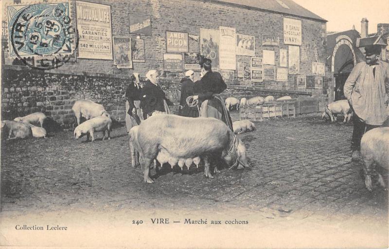 Carte postale ancienne Vire - Marche Aux Cochons