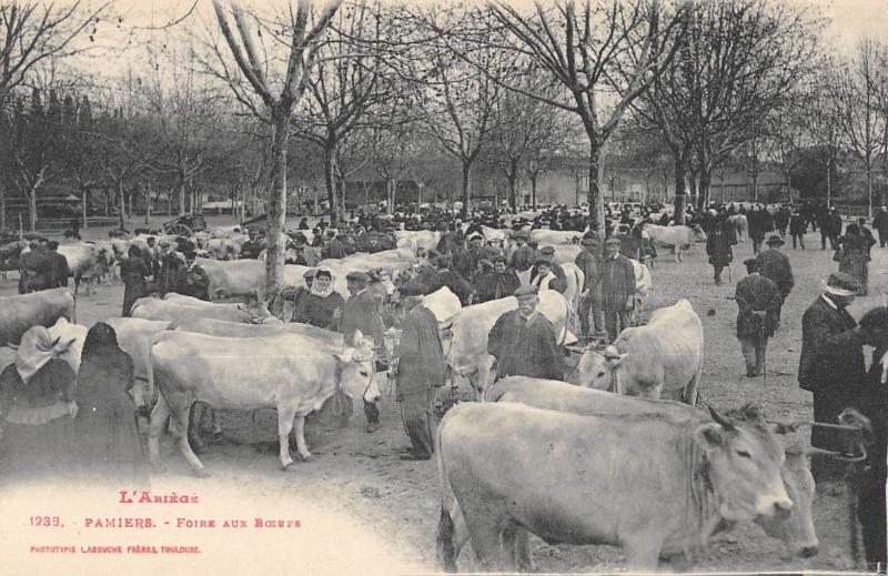 Carte postale ancienne Pamiers - Foire Aux Boeufs à Pamiers