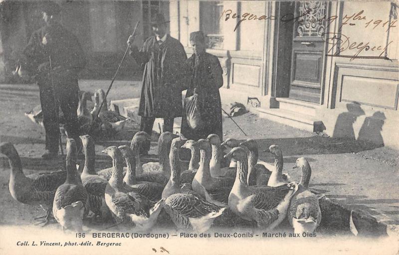 Carte postale ancienne Bergerac - Place Des Deux Conils - Marche Aux Oies à Bergerac