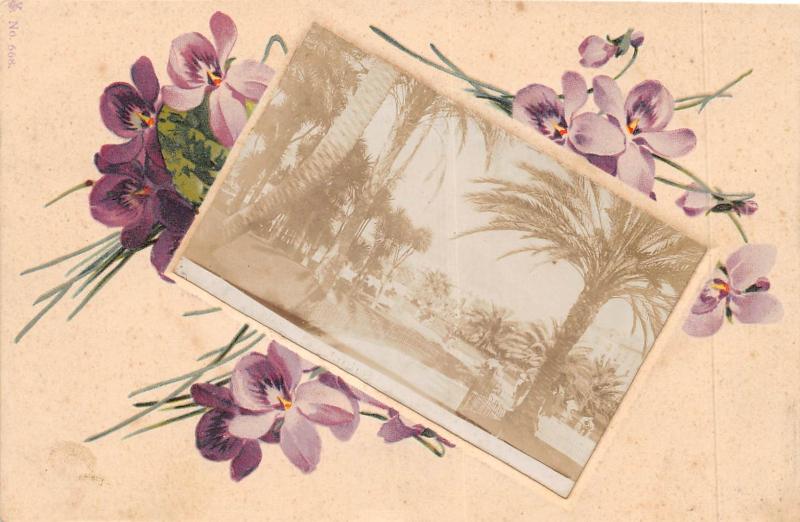 Carte postale ancienne Nice - Carte Photo à Nice