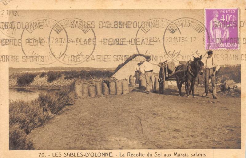 Carte postale ancienne Les Sables D'Olonne - La Recolte Du Sel Aux Marais Salants - Attelage aux Sables-d'Olonne