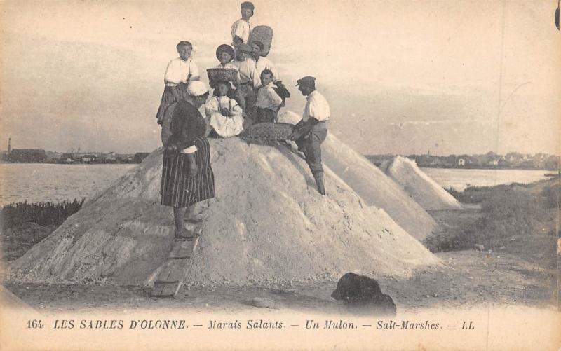 Carte postale ancienne Les Sables D'Olonne - Marais Salants - Un Mulon aux Sables-d'Olonne