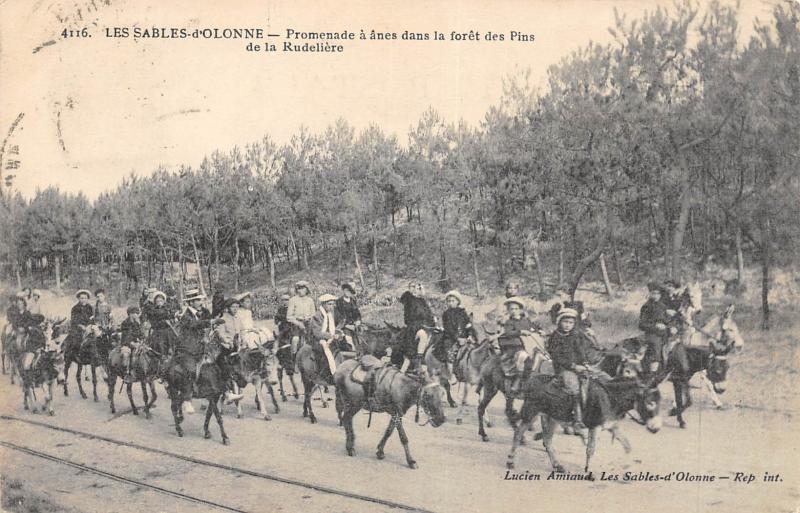 Carte postale ancienne Les Sables D'Olonne - Promenade A Anes Dans La Foret Des Pins De La Rudel aux Sables-d'Olonne