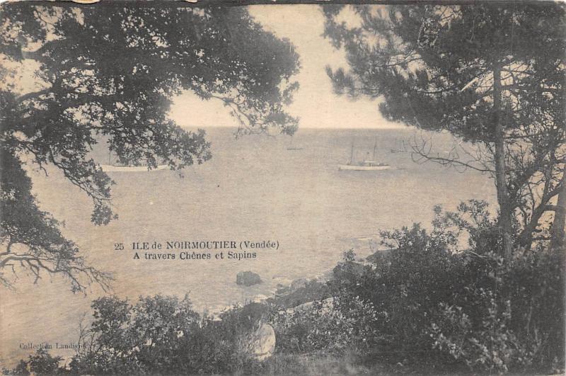 Carte postale ancienne Ile De Noirmoutier - A Travers Chenes Et Sapins