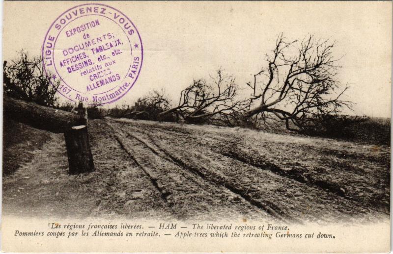 Carte postale ancienne Ham Pommiers coupes