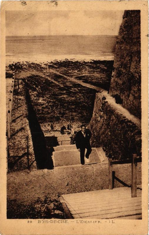Carte postale ancienne Bois de Cise escalier